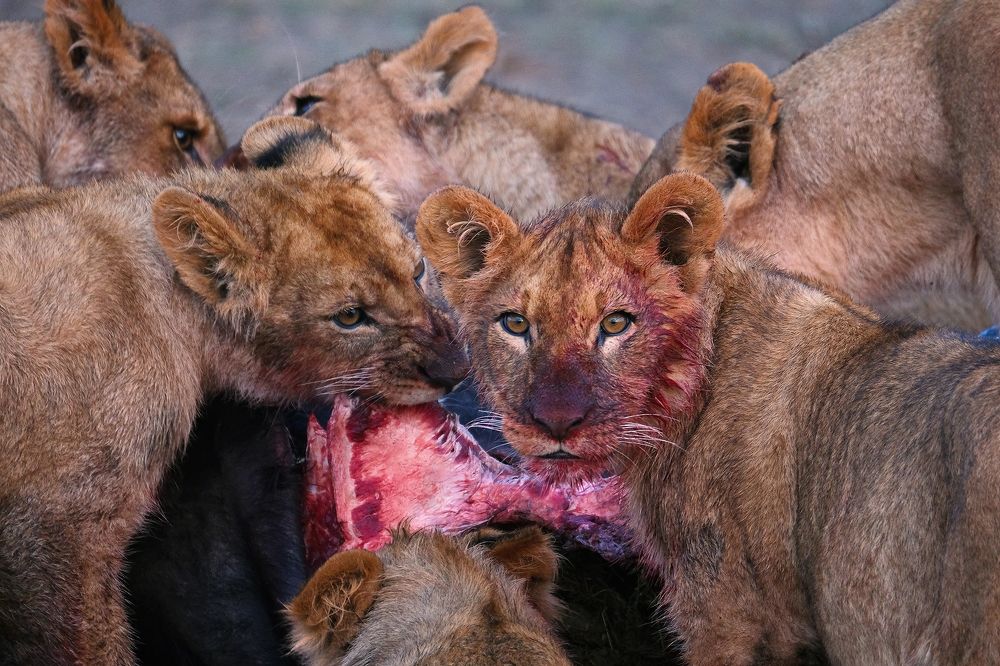 Photograph by Ирина Худзинская