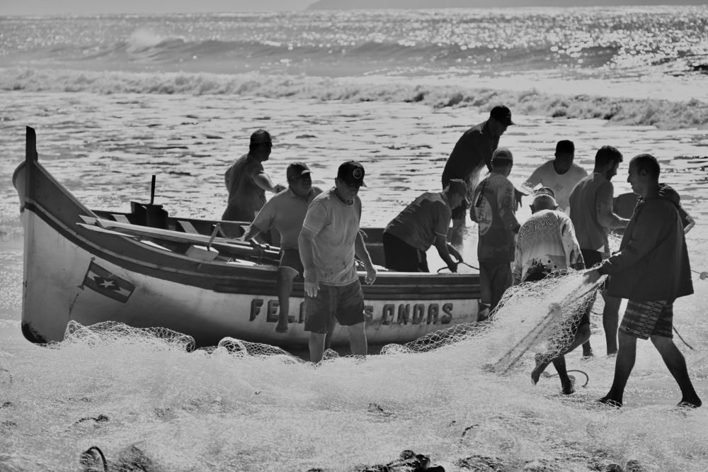 Photograph by Jaime Baiao