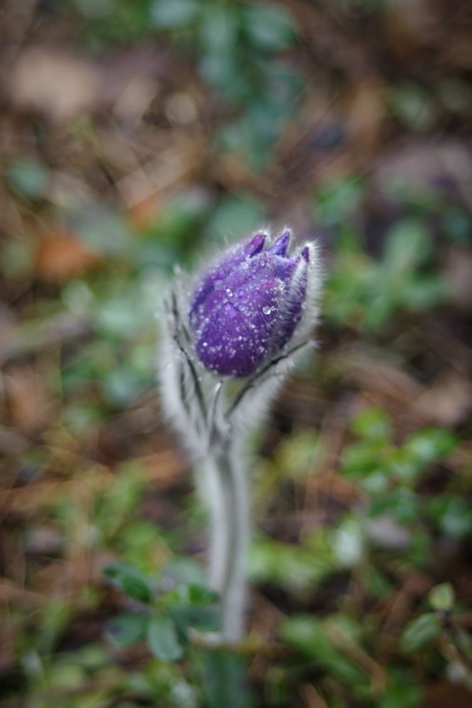 Photograph by Карина Заводчикова