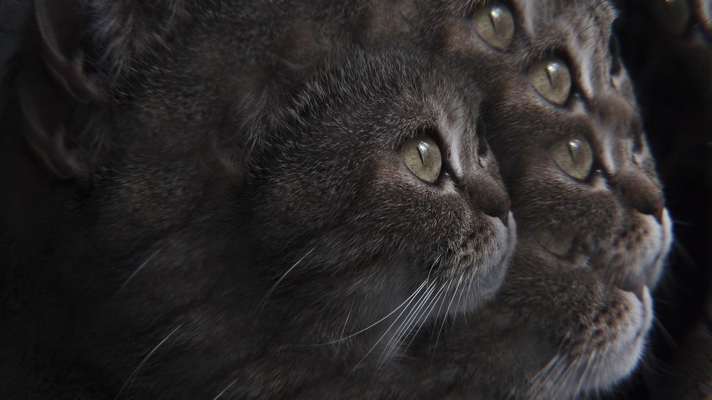 Photograph by Яна Истоцкая