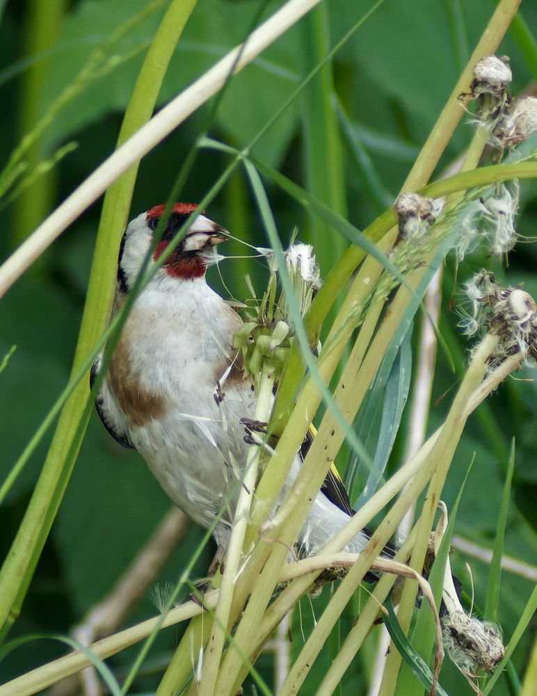 Photograph by Карина Заводчикова