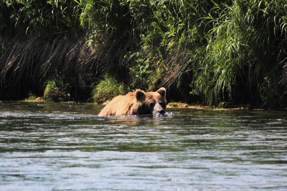 Фотография автора Вячеслав