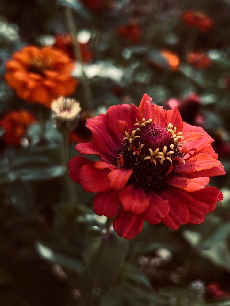 Photograph by Alsu Gimadieva
