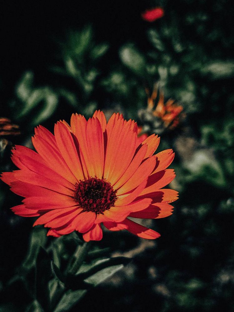 Photograph by Alsu Gimadieva