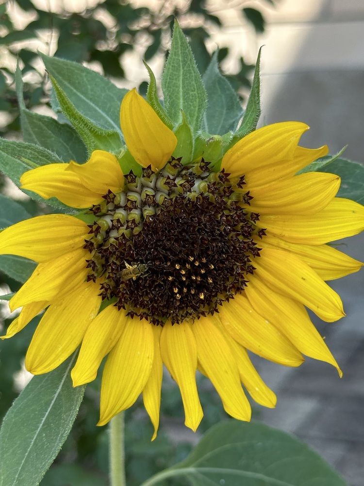 Photograph by Наталья Берон