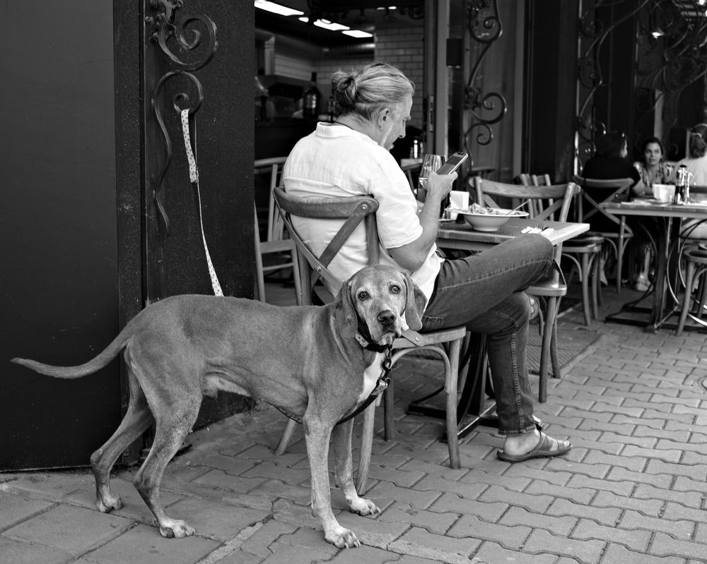 Photograph by Veska Saeva