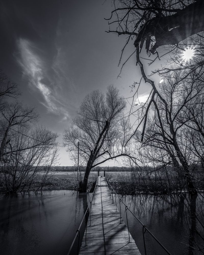 Фотография автора Караваев Антон