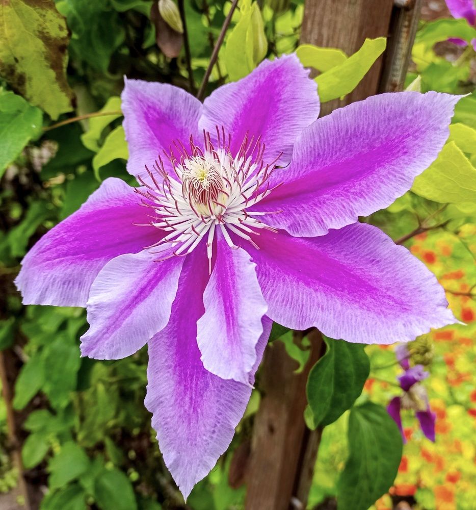 Photograph by Sergey Kurkov-Tarkovsky