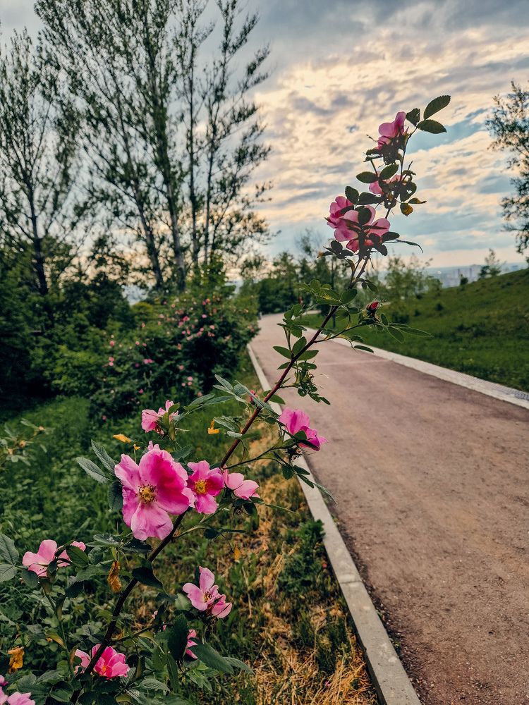 Photograph by Елена Семкина