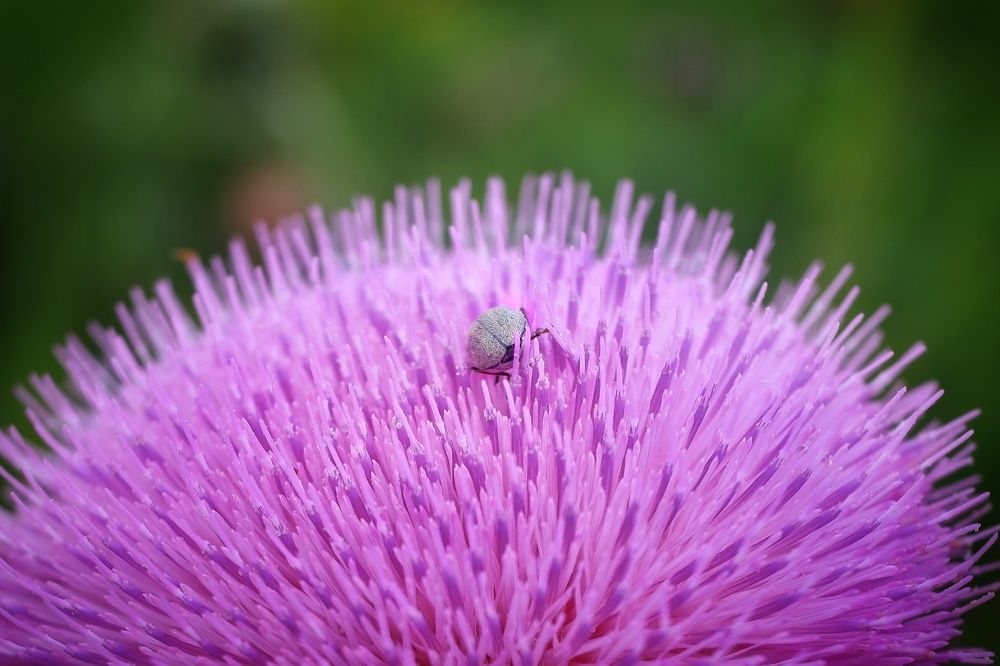 Photograph by Зорин Миша