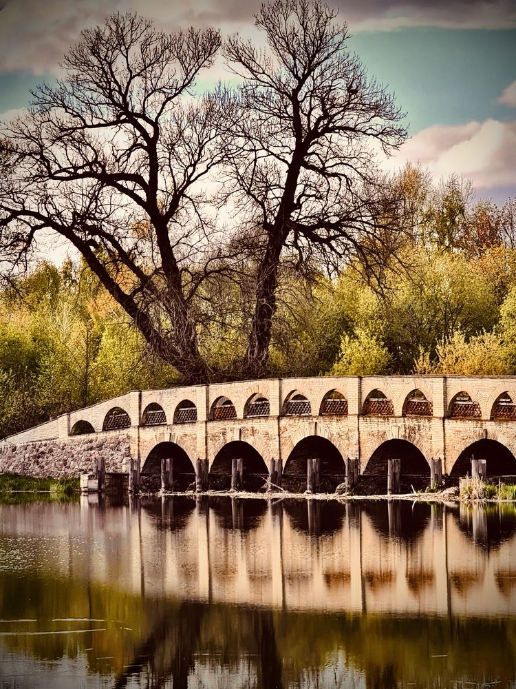 Photograph by Anna Krivorucko