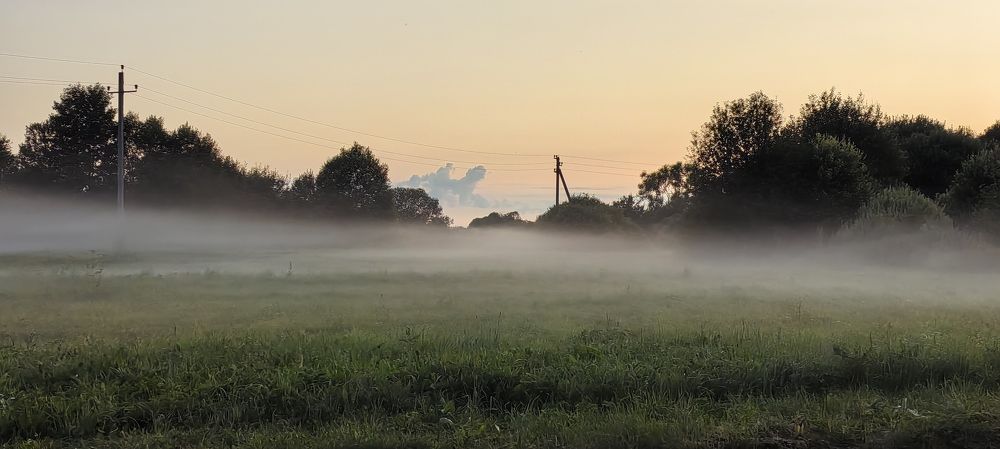Photo #10910074
