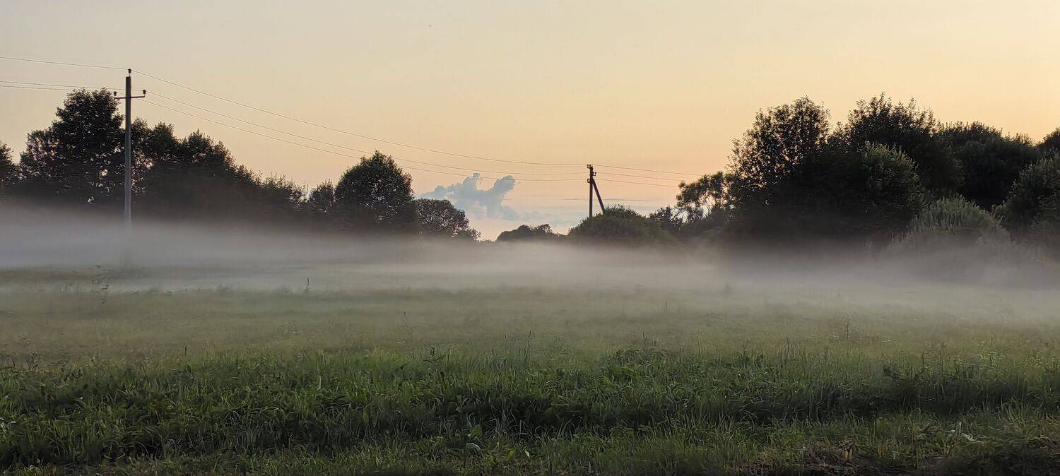 Photo #10910074