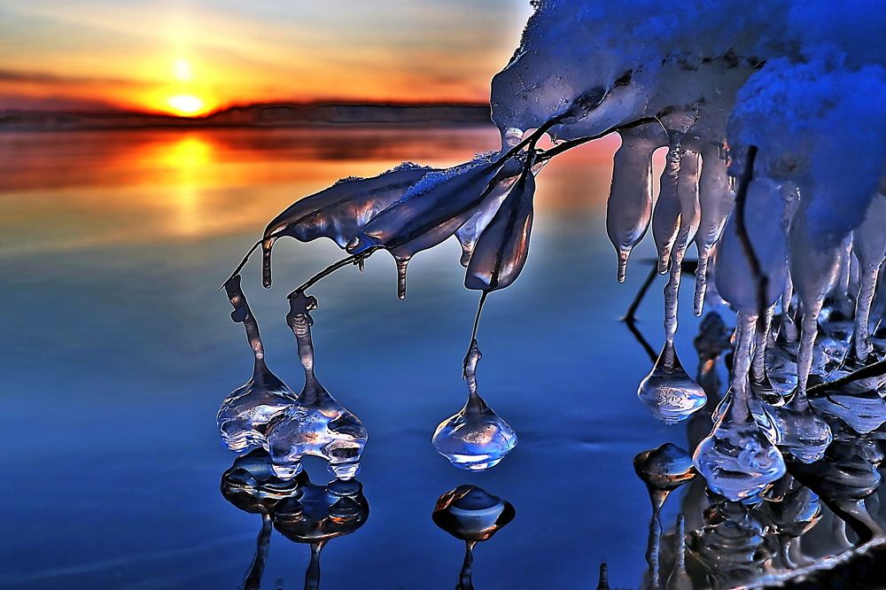 Весенние колокольчики