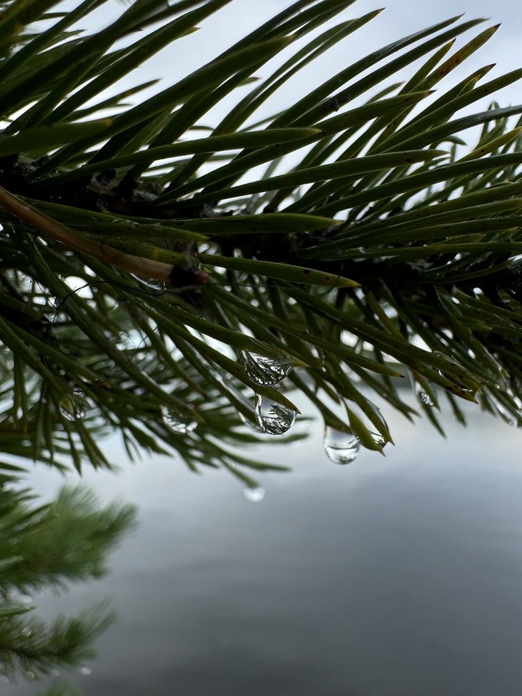 Фотография автора Anna Tikka