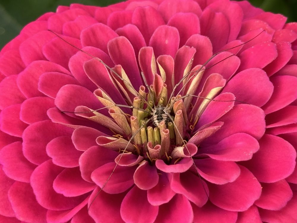 Photograph by Елена Карпухно