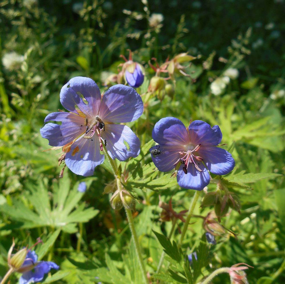 Photograph by Валерий Петухов