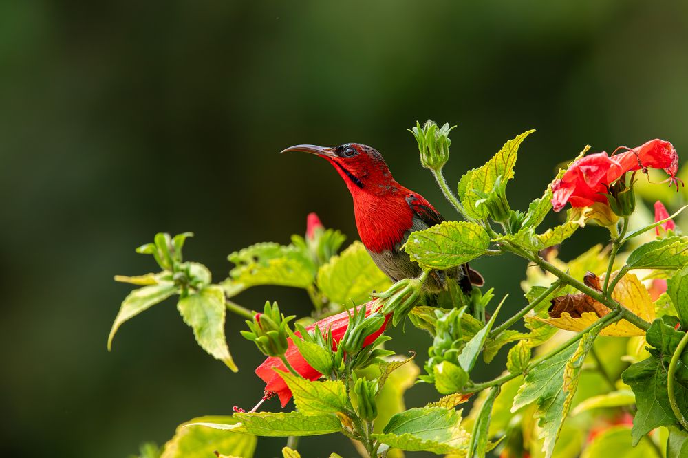 Photograph by Алексей