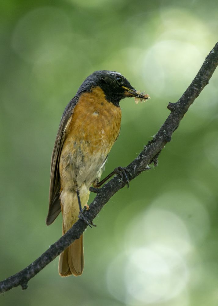 Photograph by Евгений Салаев