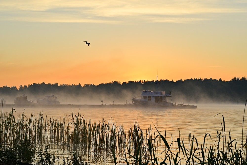 Photograph by Наталья Сергеева