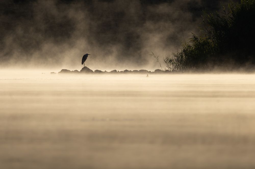 Photograph by Mahmut YILMAZ