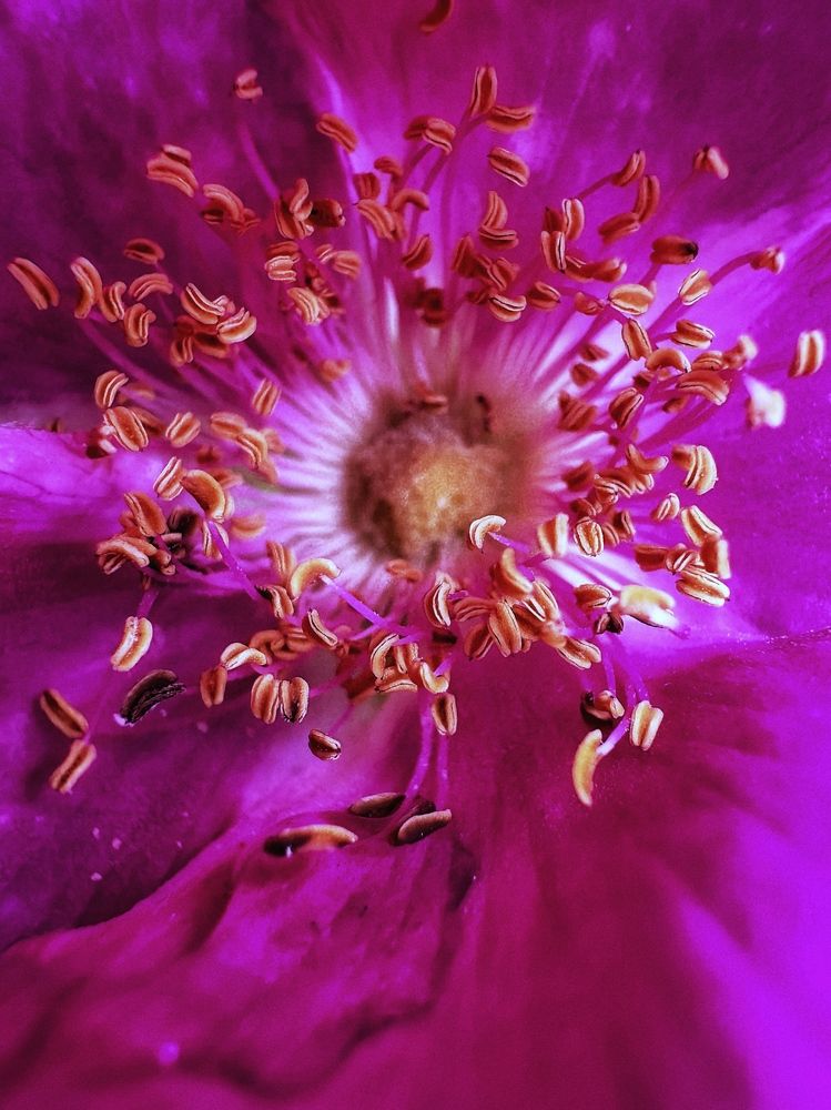 Фотография автора Елена Поживилко