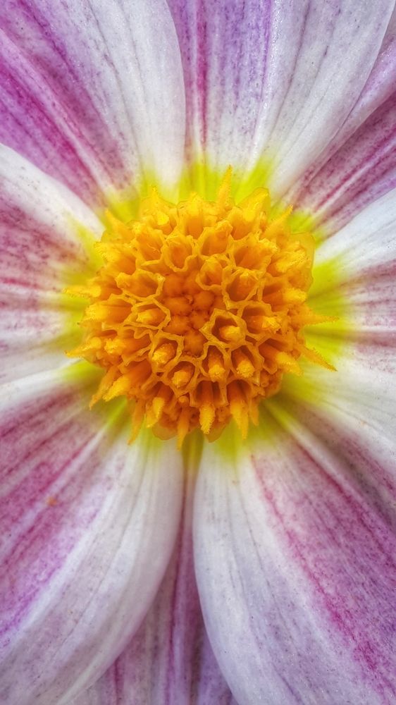 Photograph by Надежда Тузова