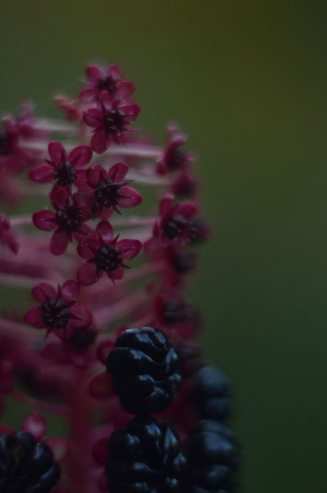 Photograph by Lizaveta Velichko
