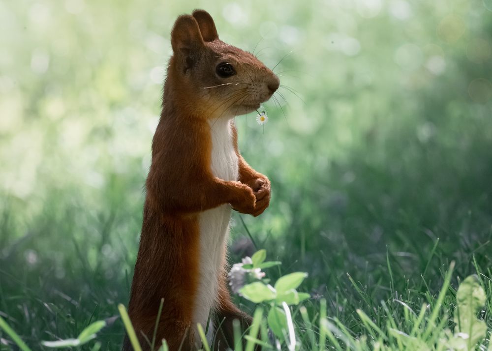 Photograph by Тамара Вотинцева