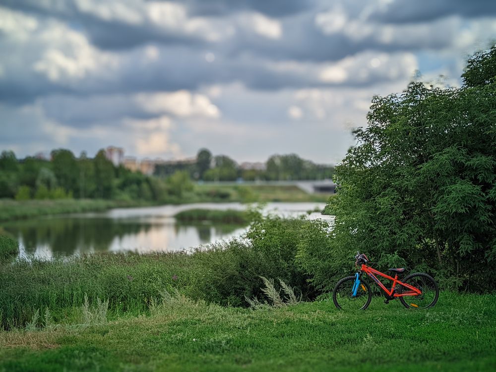 Photograph by Олега Тор