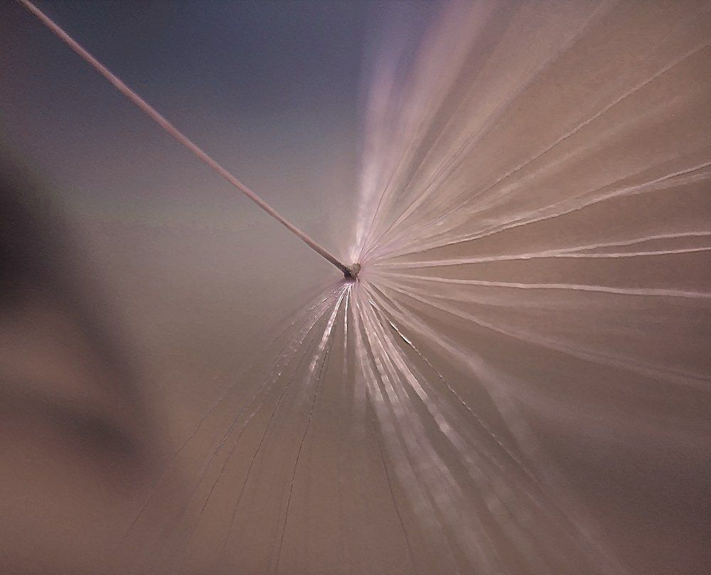 Фотография автора Павел Арсеев