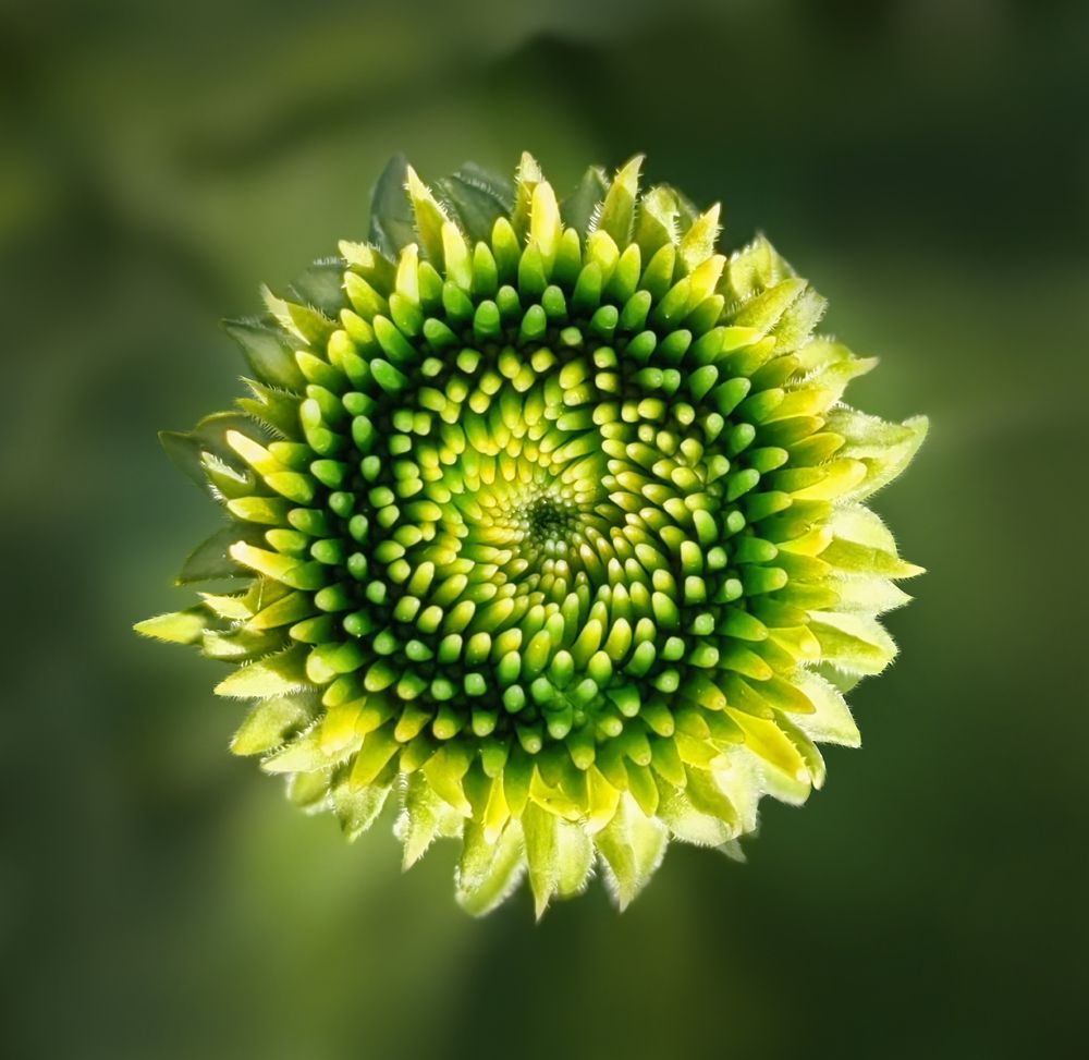 Photograph by Анастасия Семилетова