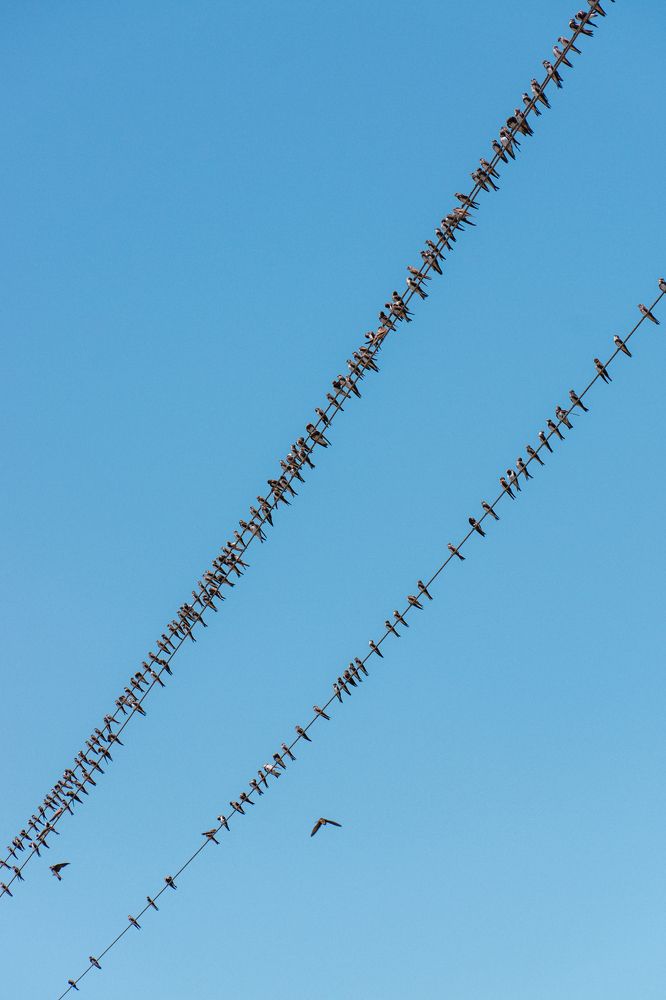 Фотография автора Павел Арсеев