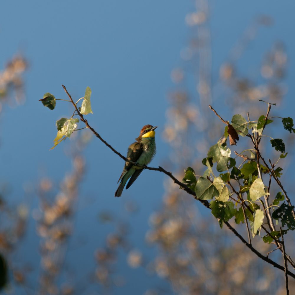 Photograph by Милан Ђорђевић