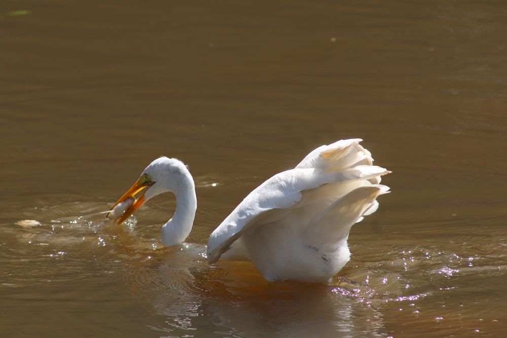 Photograph by Juliana