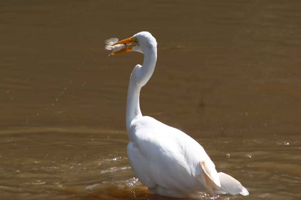 Photograph by Juliana