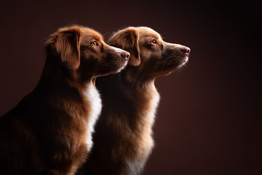 Photograph by Foscofotografie • Lotte van Alderen