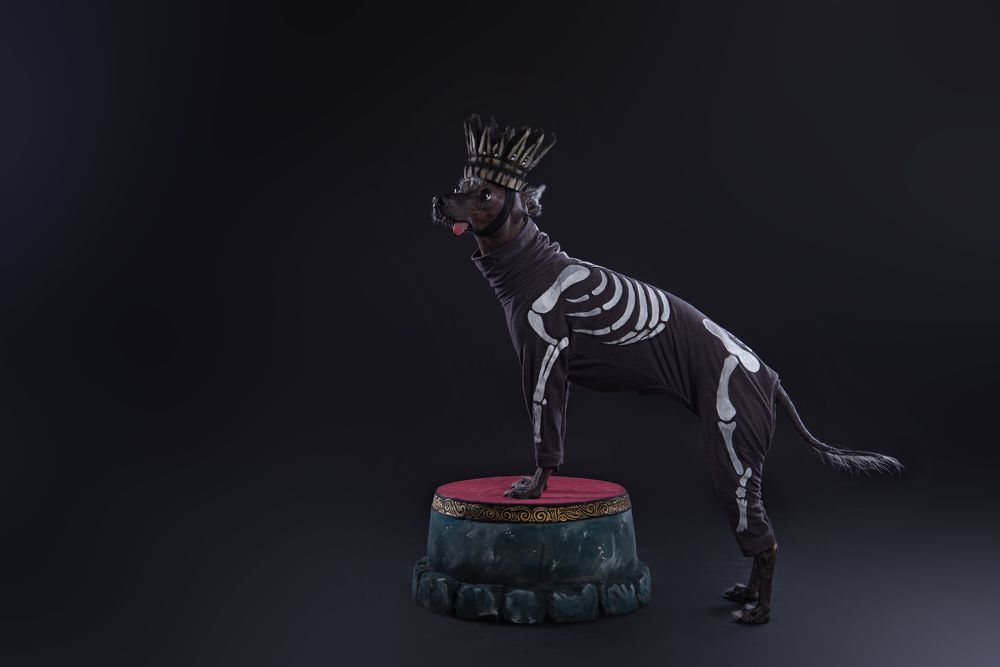 в некотором царстве, в далеком государстве