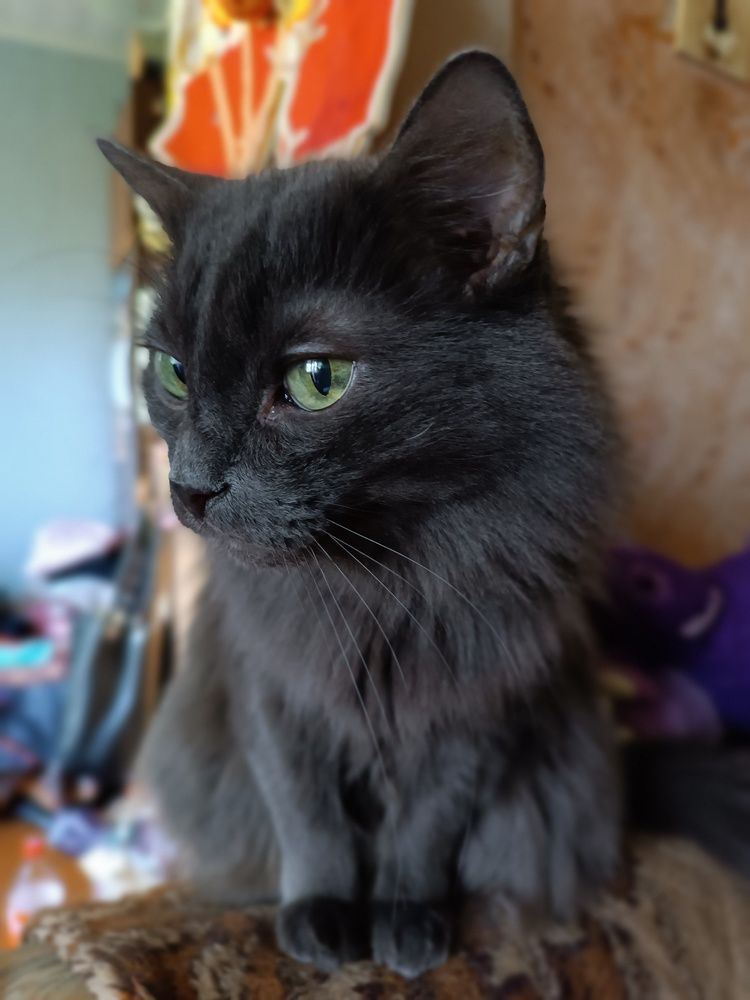 Photograph by ЮЛИЯ ОБРОКОВА