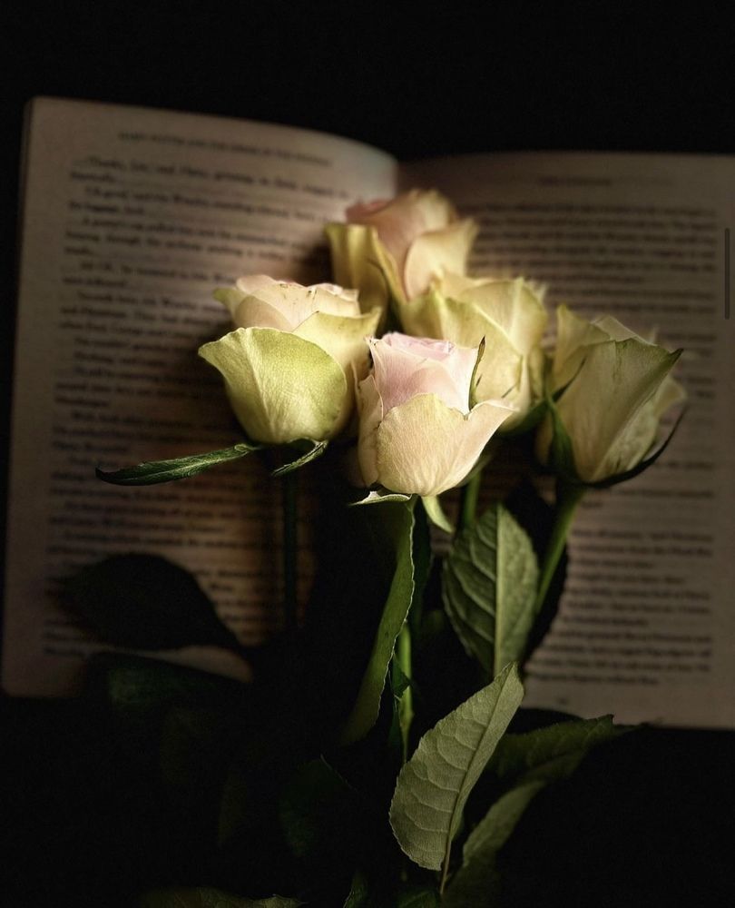 Photograph by Olessya Kim