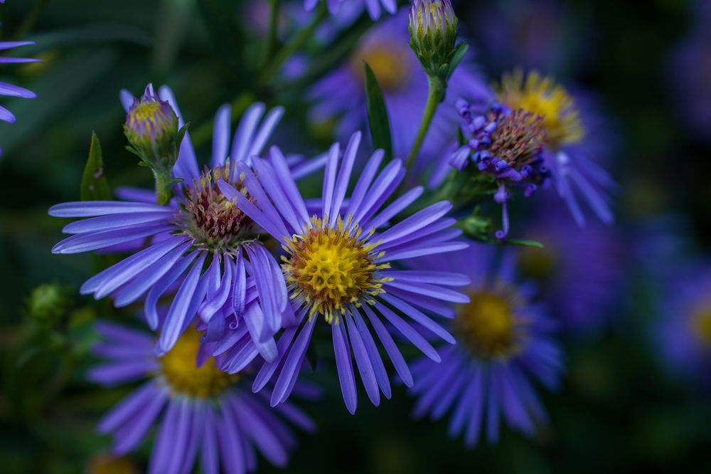 Photograph by Любовь Рощина