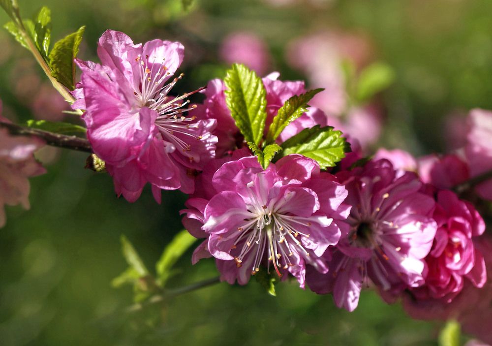 Photograph by Мишустина Татьяна