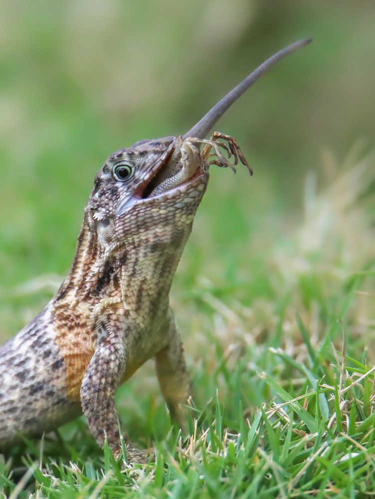 Photograph by Frank cobo blanco