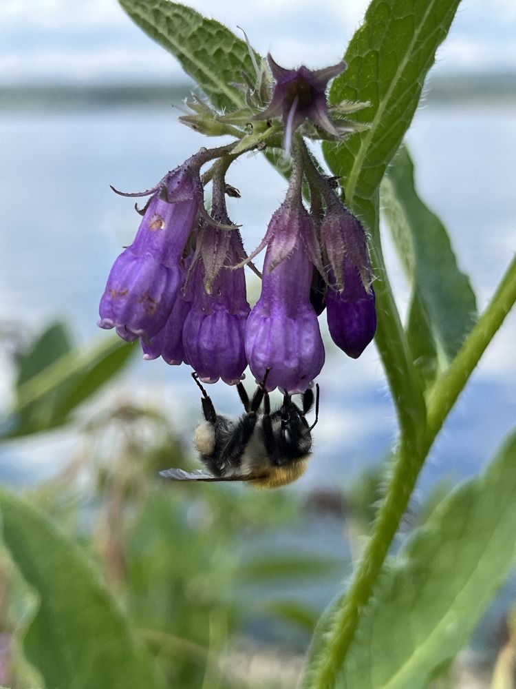 Photograph by Аркадий Горбунов