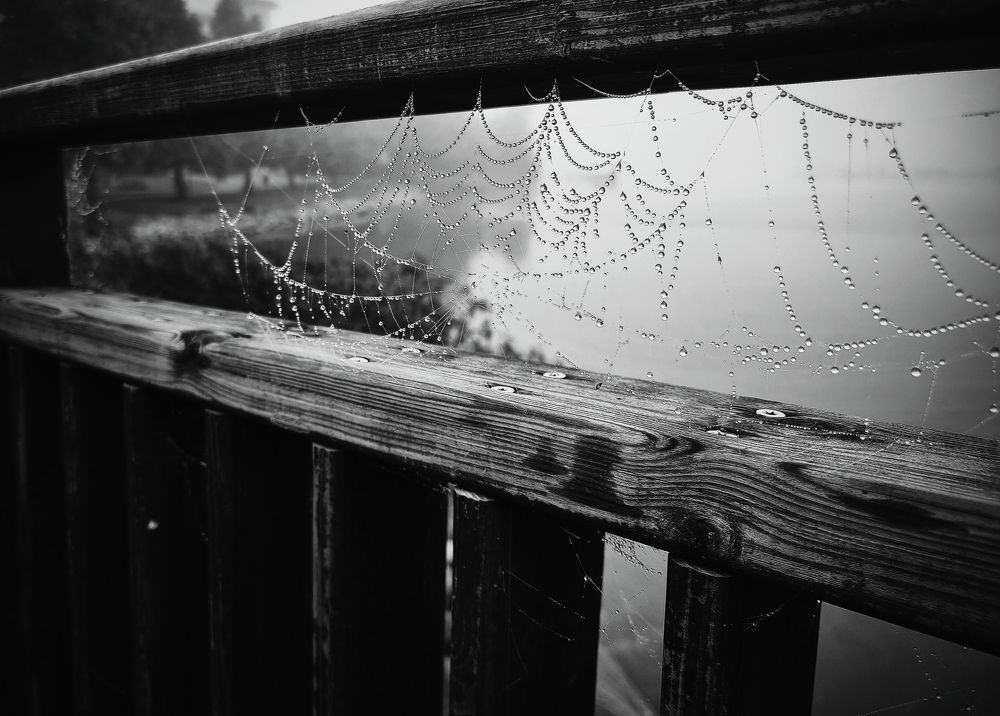 Photograph by Marko From