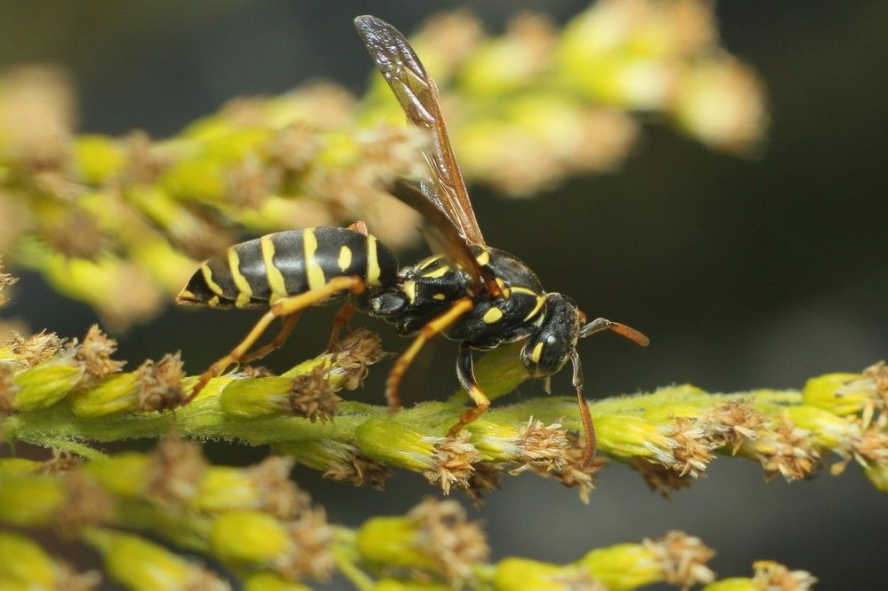 Фотография автора Геннадий Титов