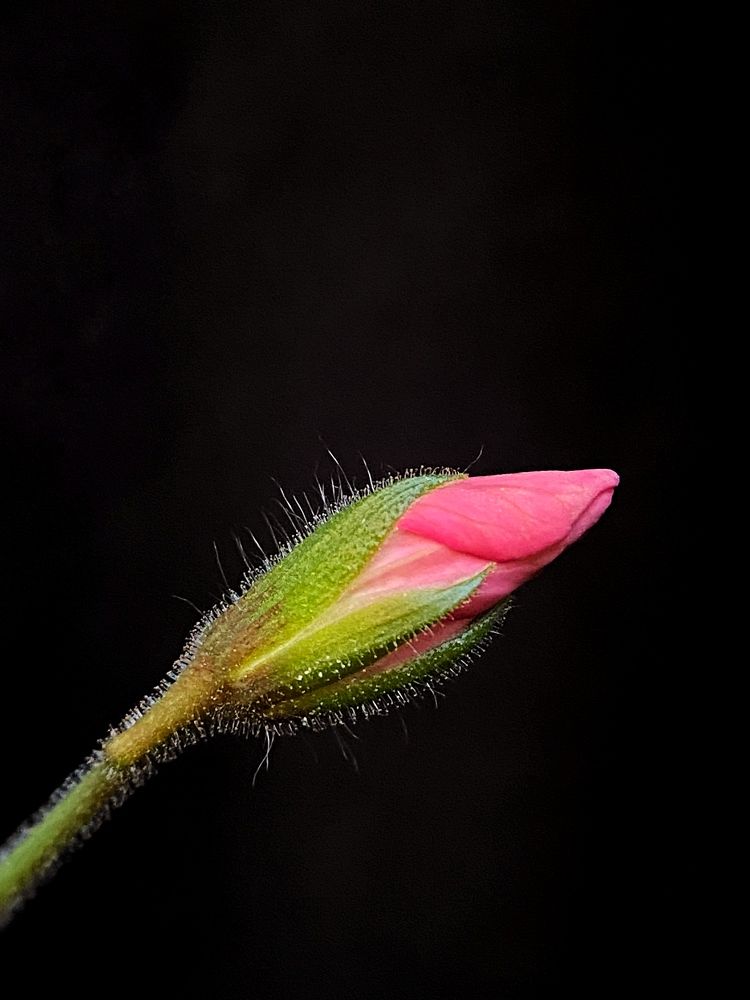 Photograph by Станислава Садыкова