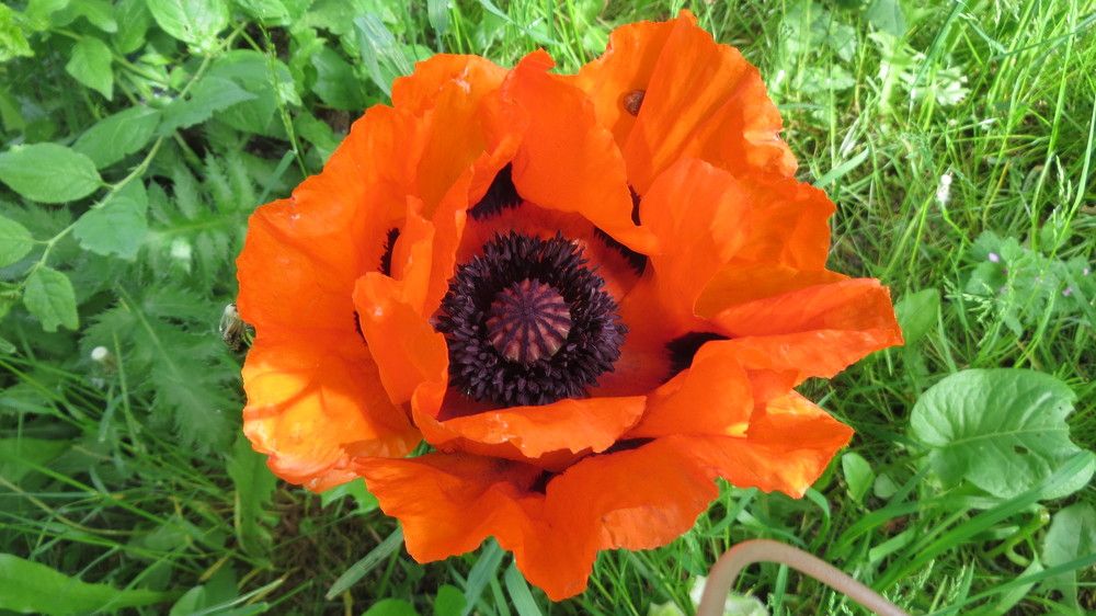 Photograph by Мигун Александра