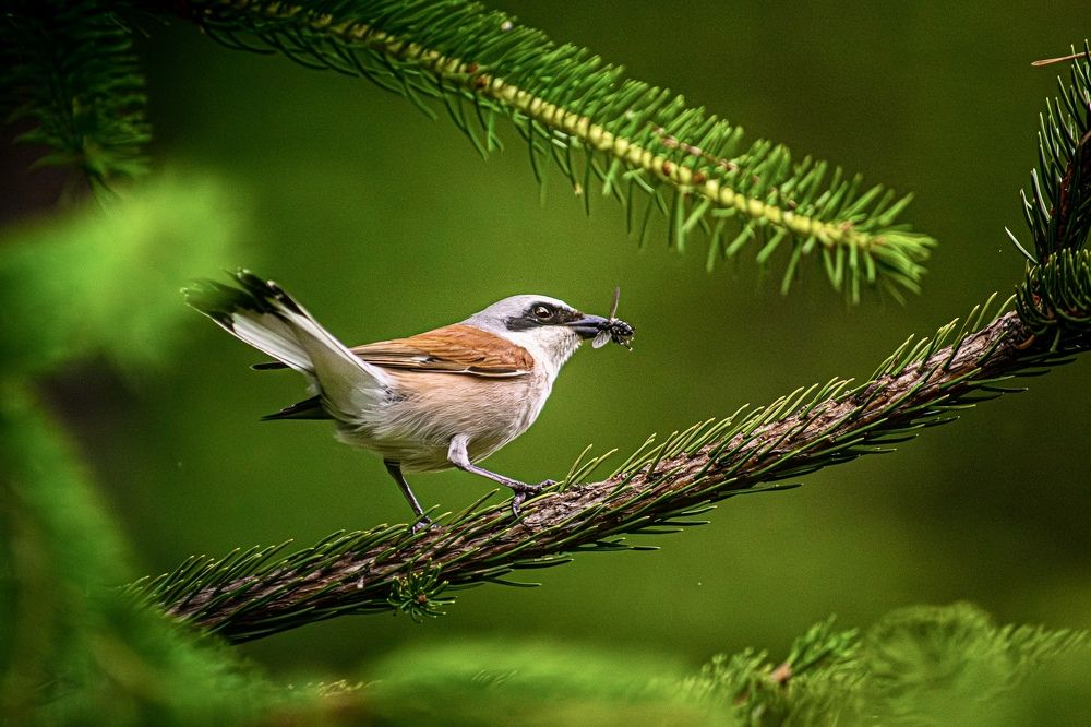 Фотография автора Евгений Аксёненко