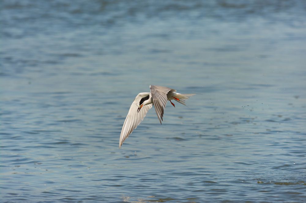 Photograph by Воронов Денис